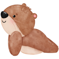 Cute otter yoga, yoga, yoga otter, yoga bear, yoga pose png