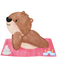 Cute otter yoga, yoga, yoga otter, yoga bear, yoga pose png