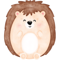 Cute hedgehog, baby hedgehog png