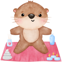 Cute otter yoga, yoga, yoga otter, yoga bear, yoga pose png