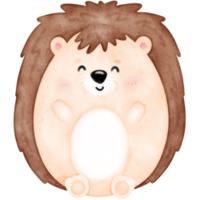 Cute hedgehog, baby hedgehog png