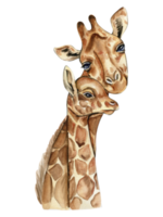 vattenfärg giraff illustration. png