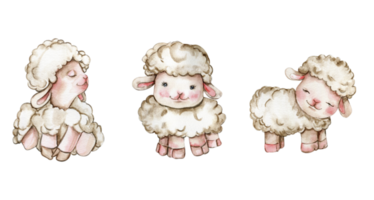 Watercolor hand drawn cute white fluffy sheep. png