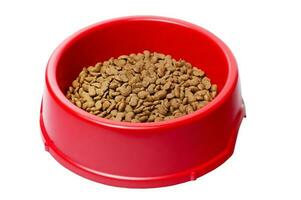 Dry food for dogs or cats in a red bowl isolate on white. Balanced nutrition for pets. photo
