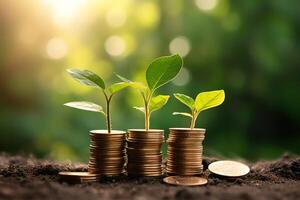 stack of coins with young plant on the top under sunlight, photo