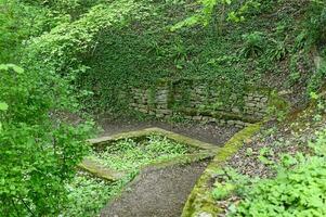 Old abandoned garden from the 18th century photo