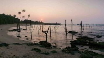Zeit Ablauf 4k Stelze Angeln Stöcke im sri Lanka auf Sonnenaufgang. video