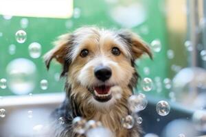 linda perro tomando bañera con jabón burbujas ai generado foto