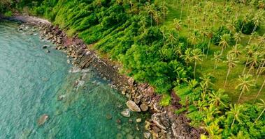 aéreo zumbido ver de el rocoso línea costera con claro turquesa mar y palma árbol video