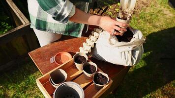 Overhead view farmer preparing biodegradable peat pots for planting, standing at a rustic wooden table with with a bag of fertilized black soil and vegetables seeds for sowing in her allotment garden video