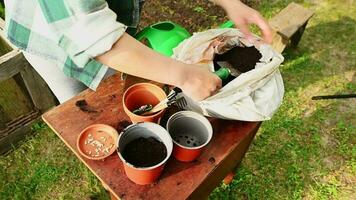 Top view woman farmer using garden shovel, puts some fertilized black soil from bag into pots, standing by rustic wooden vintage table with watering can and seeds. Spring gardening and farming concept video