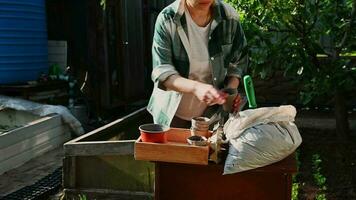 primavera plantando y jardinería. agrícola pasatiempo y negocio. recortado ver de hembra granjero jardinero preparando biodegradable turba ollas en bandeja para siembra semillas primavera plantando y jardinería concepto video