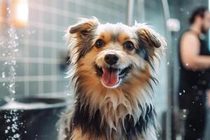 Cute dog taking bath with soap bubbles. photo