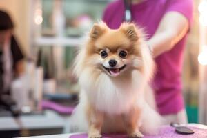 linda perro a peluquero salón, ai generado foto