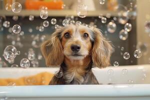 linda perro tomando bañera con jabón burbujas ai generado foto