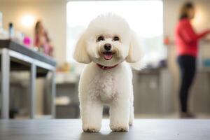 linda perro a peluquero salón, ai generado foto