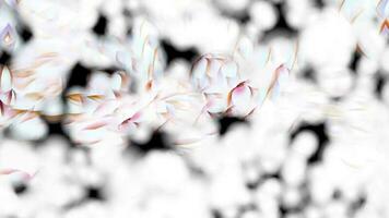 Botanical Bubbly Abstract Background Digital Rendering photo