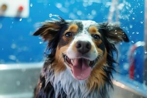 linda perro tomando bañera con jabón burbujas ai generado foto