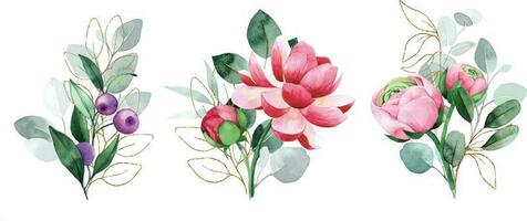 watercolor drawing, set of bouquets of flowers and leaves of eucalyptus with golden elements vector