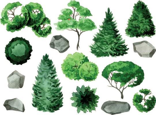 watercolor of green tree top view and stones for landscape layout plan and architecture drawing, elements for environment and garden,blooming botanical elements