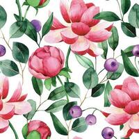 watercolor seamless pattern with pink rose and peony flowers and green eucalyptus leaves on white background vector