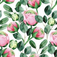 watercolor seamless pattern with pink rose and peony flowers and green eucalyptus leaves on white background vector