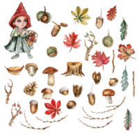 Autumn set of leaves and mushrooms. Hand drawn illustration of autumn. Perfect for scrapbooking, kids design, wedding invitation, posters, greetings cards, party decoration. png