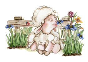 blanco mullido oveja sentado en el césped con flores y mariposas siguiente a de madera cerca. acuarela mano dibujado ilustración de granja bebé animal . Perfecto para saludos tarjeta, póster, tela modelo. png