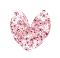 Delicate, pink sakura flowers in heart. Horizontal board, watercolor illustration. For the design and decoration of postcards, posters, stickers, wallpapers, banners, souvenirs. png