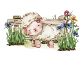 White fluffy sheep sitting in the grass with flowers and butterflies next to wooden fence. Watercolor hand drawn illustration of farm baby animal . Perfect for greetings card, poster, fabric pattern. png