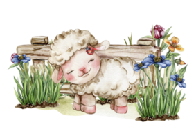 Weiß flauschige Schaf Sitzung im das Gras mit Blumen und Schmetterlinge Nächster zu hölzern Zaun. Aquarell Hand gezeichnet Illustration von Bauernhof Baby Tier . perfekt zum Schöne Grüße Karte, Poster, Stoff Muster. png