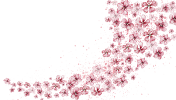 delikat, rosa sakura blommor. horisontell styrelse, vattenfärg illustration. för de design och dekoration av vykort, affischer, klistermärken, tapeter, banderoller, souvenirer. png