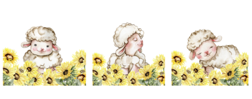 Watercolor hand drawn cute white fluffy sheep sitting in the sunflowers. Illustration of farm baby animal . Perfect for wedding invitation, greetings card, poster, fabric pattern. png