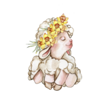 Watercolor white fluffy sheep with wreath made from yellow narcissus flowers on its head. Illustration of farm baby animal. Perfect for wedding invitation,greetings card,poster, fabric patterns. png