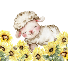 Watercolor hand drawn cute white fluffy sheep sitting in the sunflowers. Illustration of farm baby animal . Perfect for wedding invitation, greetings card, poster, fabric pattern. png