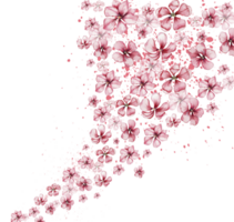 delicado, rosado sakura flores horizontal junta, acuarela ilustración. para el diseño y decoración de postales, carteles, pegatinas, fondos de pantalla, pancartas, recuerdos png