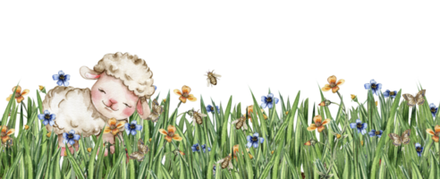 blanco mullido oveja sentado en el campo de césped con flores y mariposas acuarela mano dibujado ilustración de granja bebé animal . Perfecto para saludos tarjeta, póster, tela modelo. png