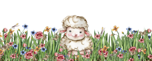 White fluffy sheep sitting in the field of grass with flowers and butterflies. Watercolor hand drawn illustration of farm baby animal . Perfect for greetings card, poster, fabric pattern. png