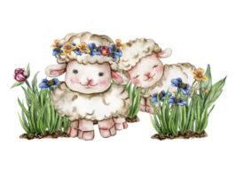 White fluffy sheep sitting in the grass with flowers and butterflies next to wooden fence. Watercolor hand drawn illustration of farm baby animal . Perfect for greetings card, poster, fabric pattern. png