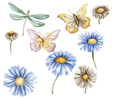 azul e branco camomila flores definir. para berçário, bebê banho, convite para aniversário Festa. aguarela ilustração para cumprimento cartão, cartazes, adesivos, embalagem. png