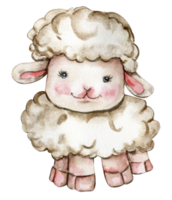 Watercolor hand drawn cute white fluffy sheep. png