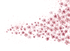 delikat, rosa sakura blommor. horisontell styrelse, vattenfärg illustration. för de design och dekoration av vykort, affischer, klistermärken, tapeter, banderoller, souvenirer. png