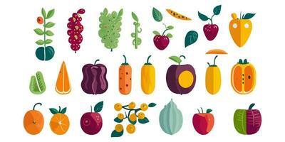 Vector Illustration Creating a Border with Exotic Fruits