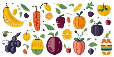 vector ilustración de agrios frutas explotando con vibrante salpicaduras