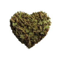 Heart shape made of cannabis leaves on transparent background, created with png