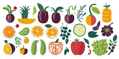 Vibrant and Colorful Berry Illustrations in Vector Form