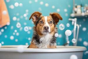 linda perro tomando bañera con jabón burbujas ai generado foto