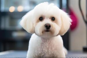 linda perro a peluquero salón, ai generado foto