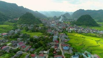 aérien vue 4k vidéo par drone paddy des champs situé dans tam fils ville, quan ba district, Ha giang province, vietnam. video