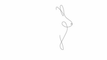 Continuous drawing line art of Cute rabbit with black line and white background. One line video